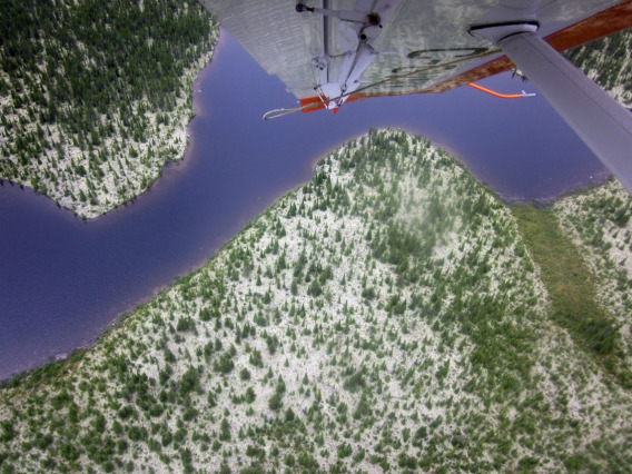 A lake and forest from a cockpit view of a float plane